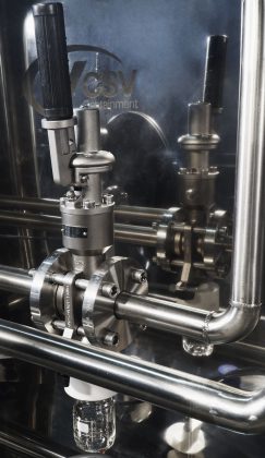 liquid sampling internal valve